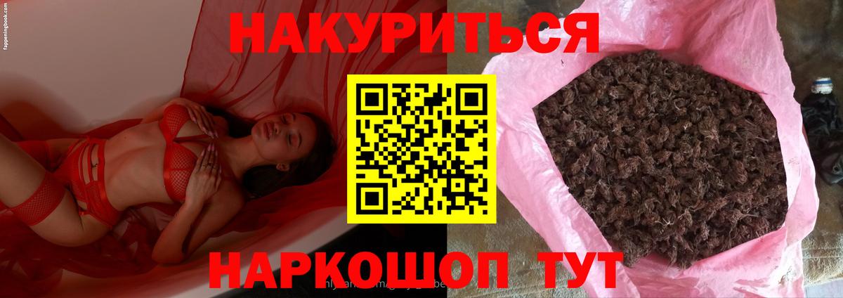 Отрадное  Канабис планчик  Вход с VPN  Бошки марихуана марихуана  Конопля сатива 